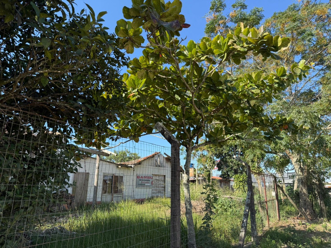 Terreno, 640 m² - Foto 9