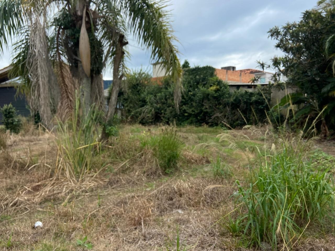 Terreno, 478 m² - Foto 14