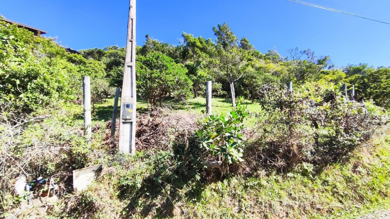 Terreno, 1058 m² - Foto 12