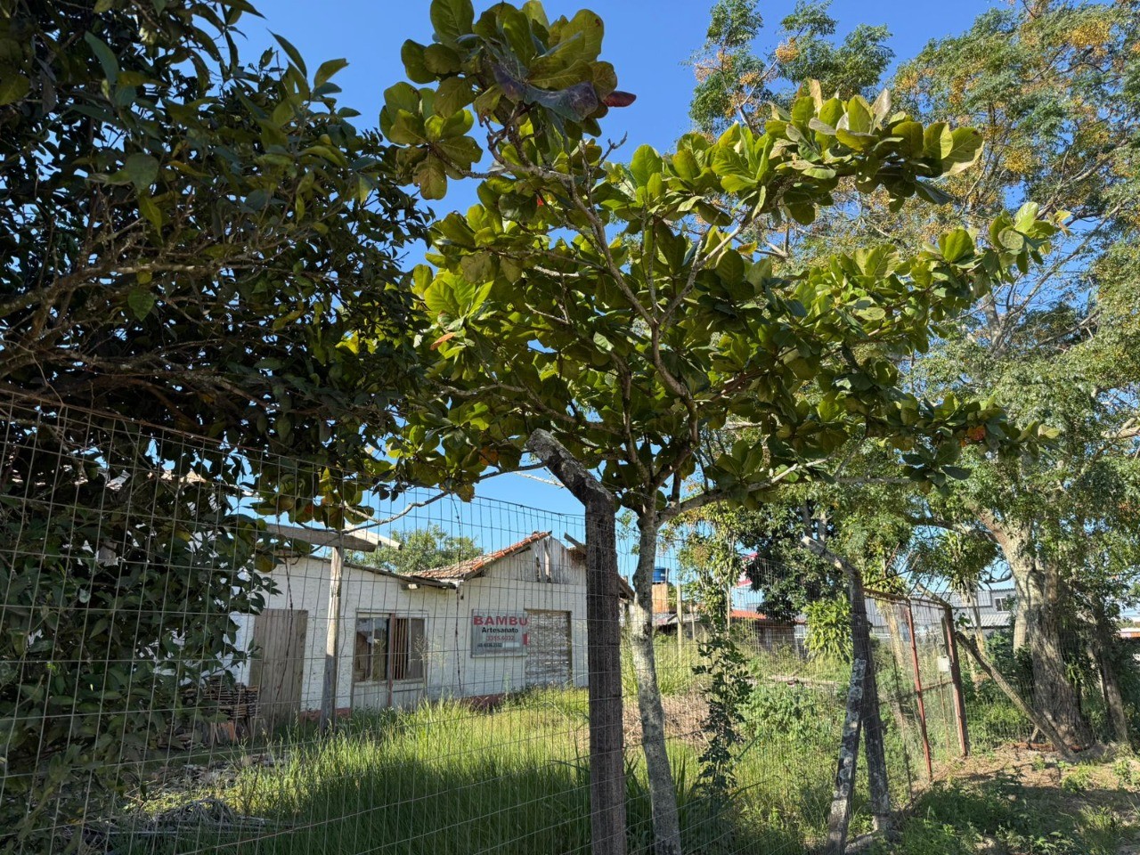 Terreno, 640 m² - Foto 6