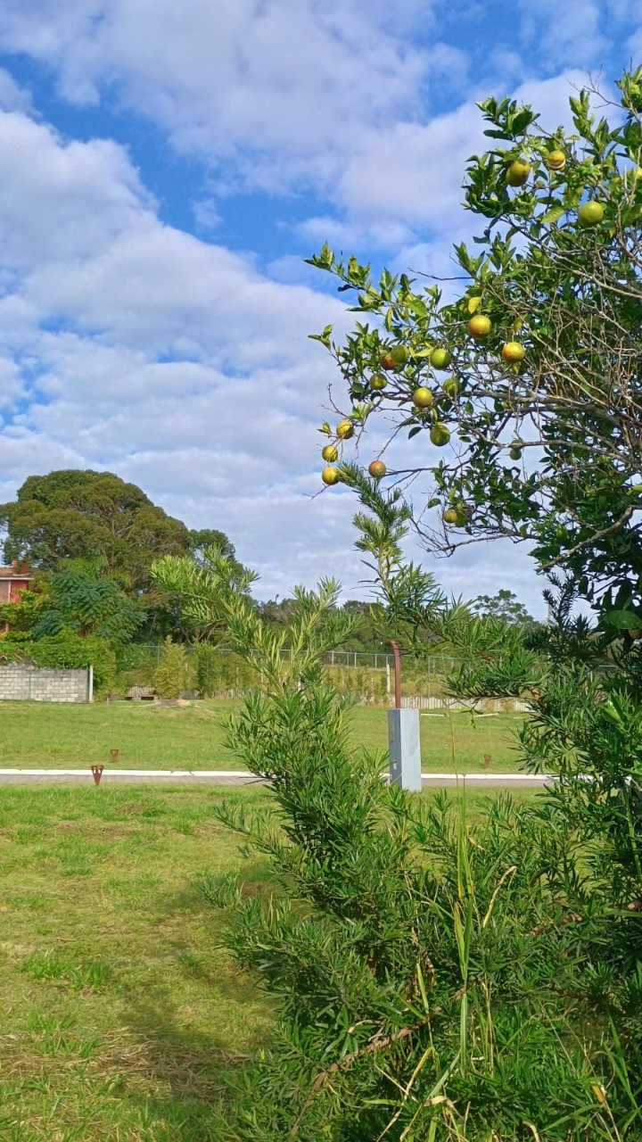 Terreno, 220 m² - Foto 8