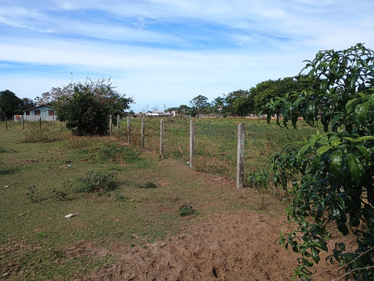 Terreno, 727 m² - Foto 7