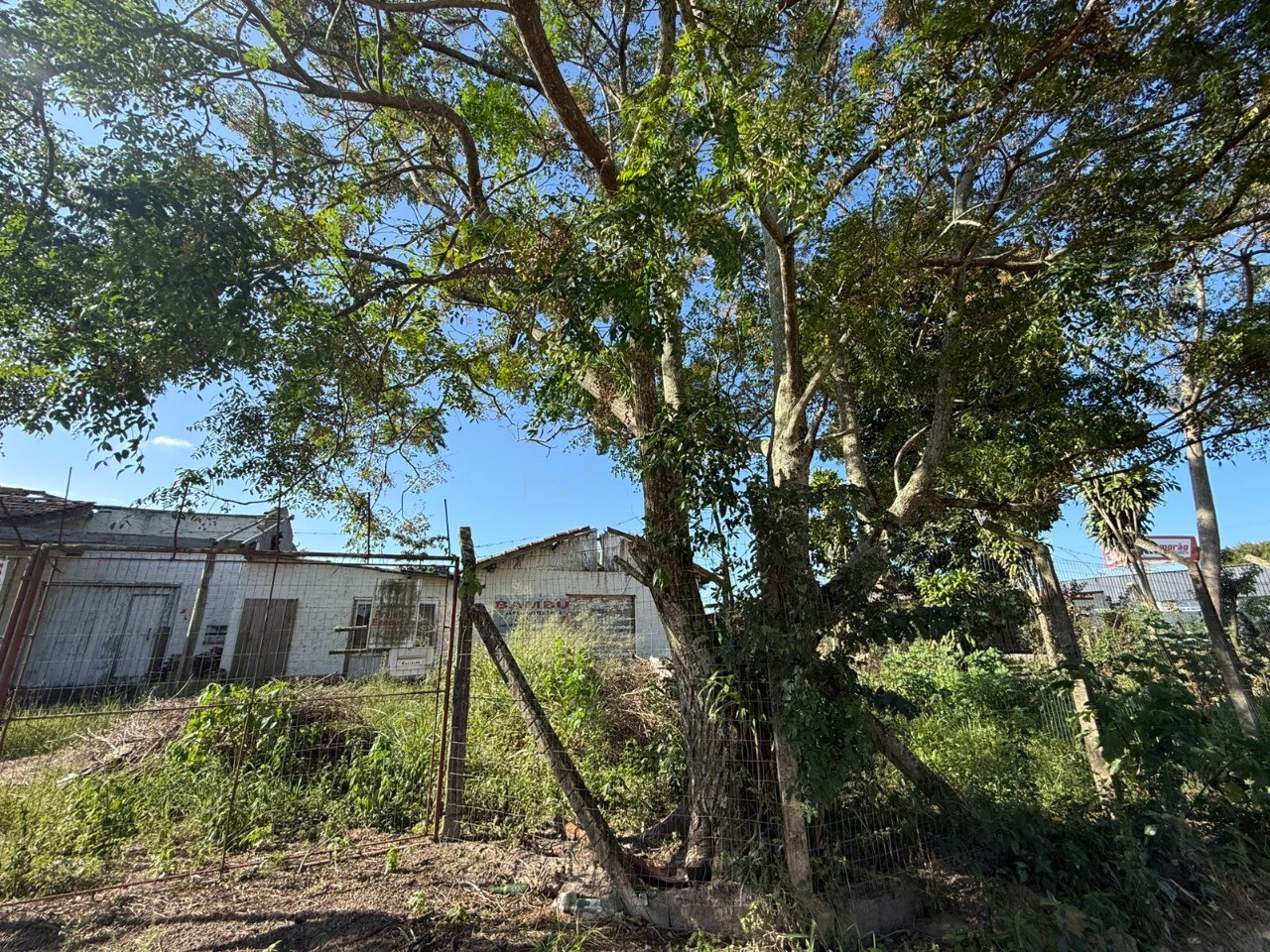 Terreno, 640 m² - Foto 14