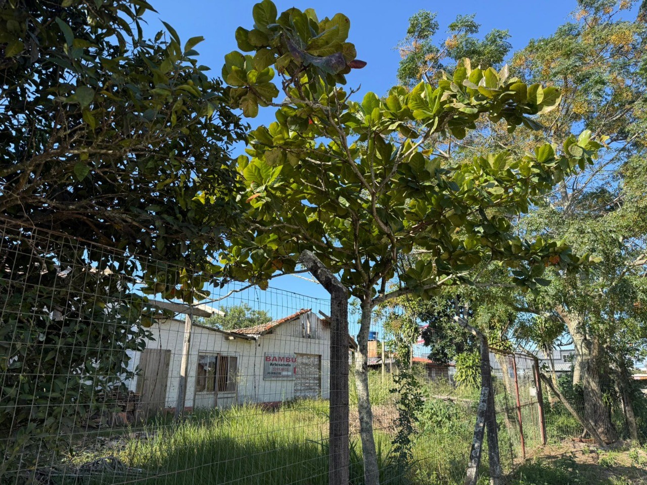 Terreno, 640 m² - Foto 4