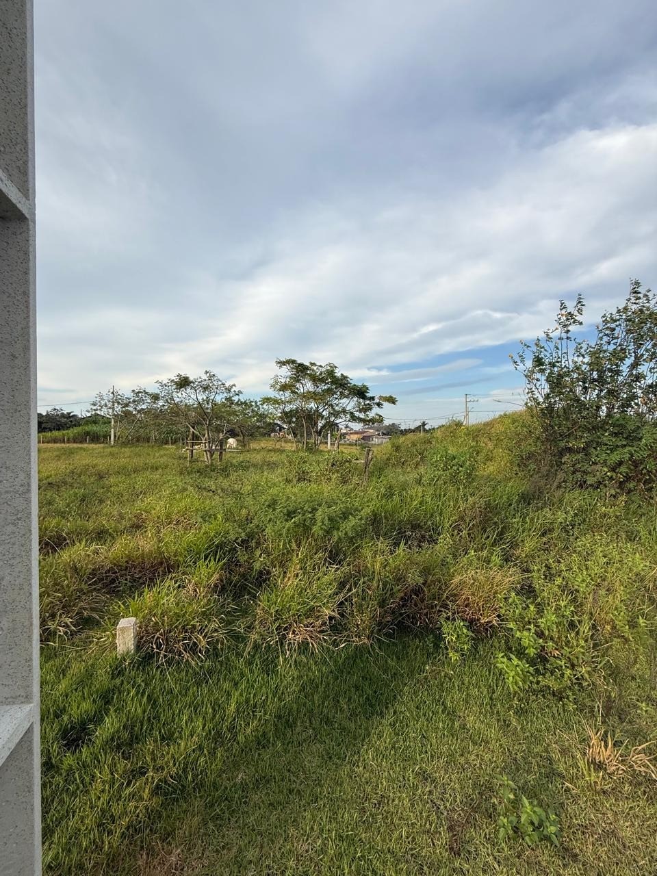 Terreno, 360 m² - Foto 12