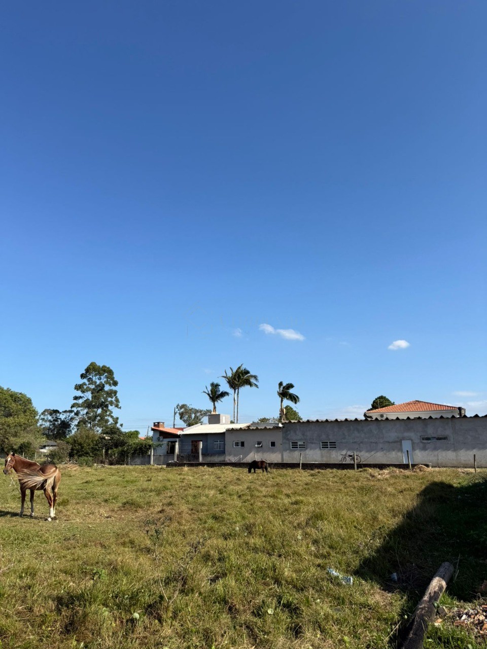 Terreno, 456 m² - Foto 12