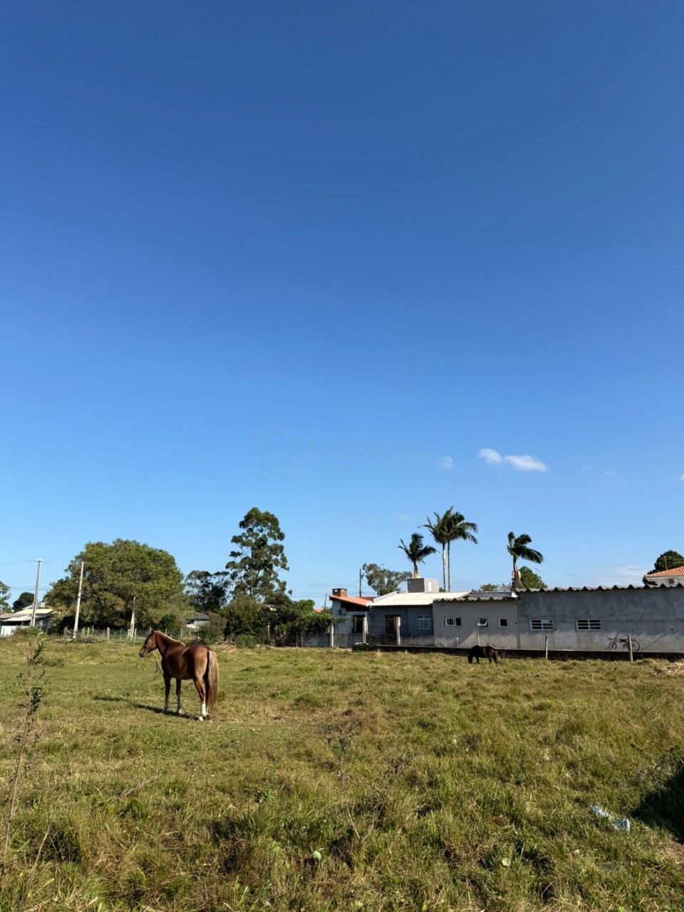 Terreno, 456 m² - Foto 17