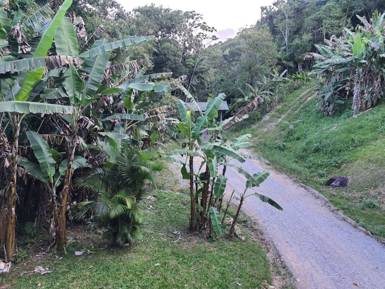 Chácara, 1 quarto, 10000 m² - Foto 6