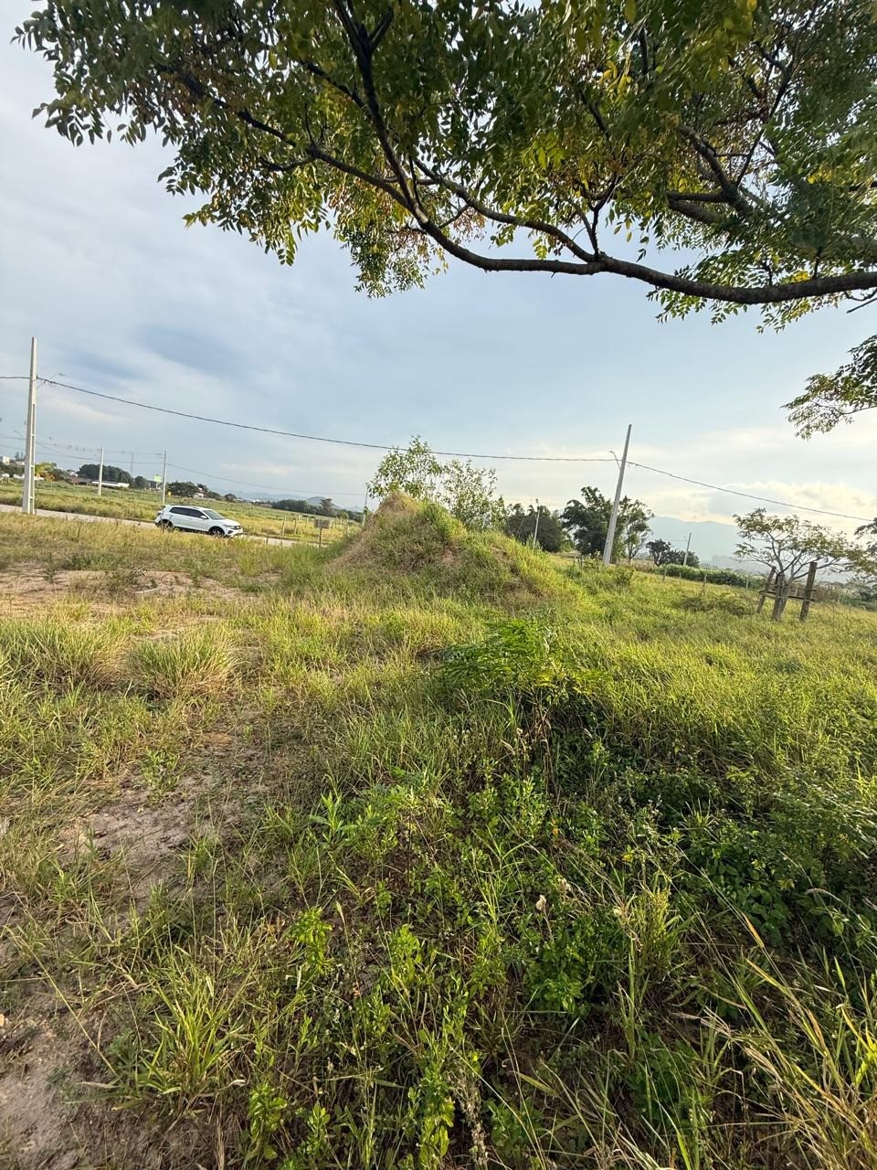 Terreno, 360 m² - Foto 10