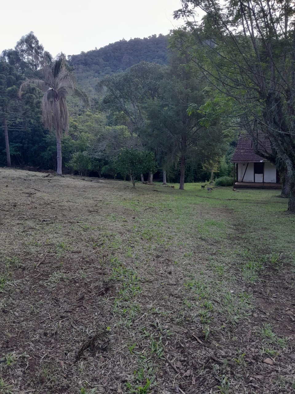 Fazenda - Foto 18