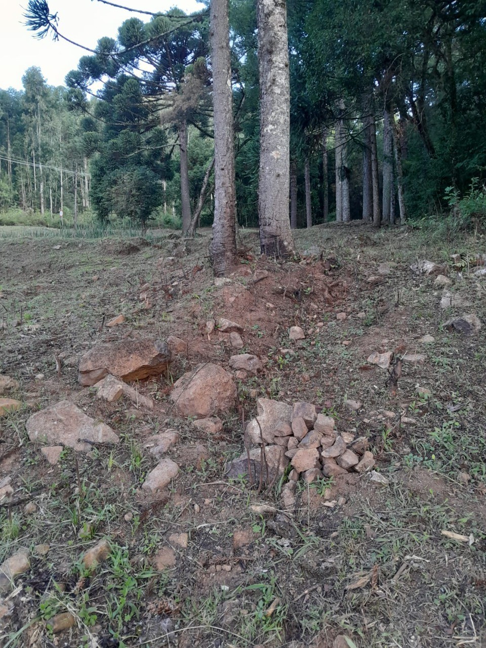 Fazenda - Foto 34