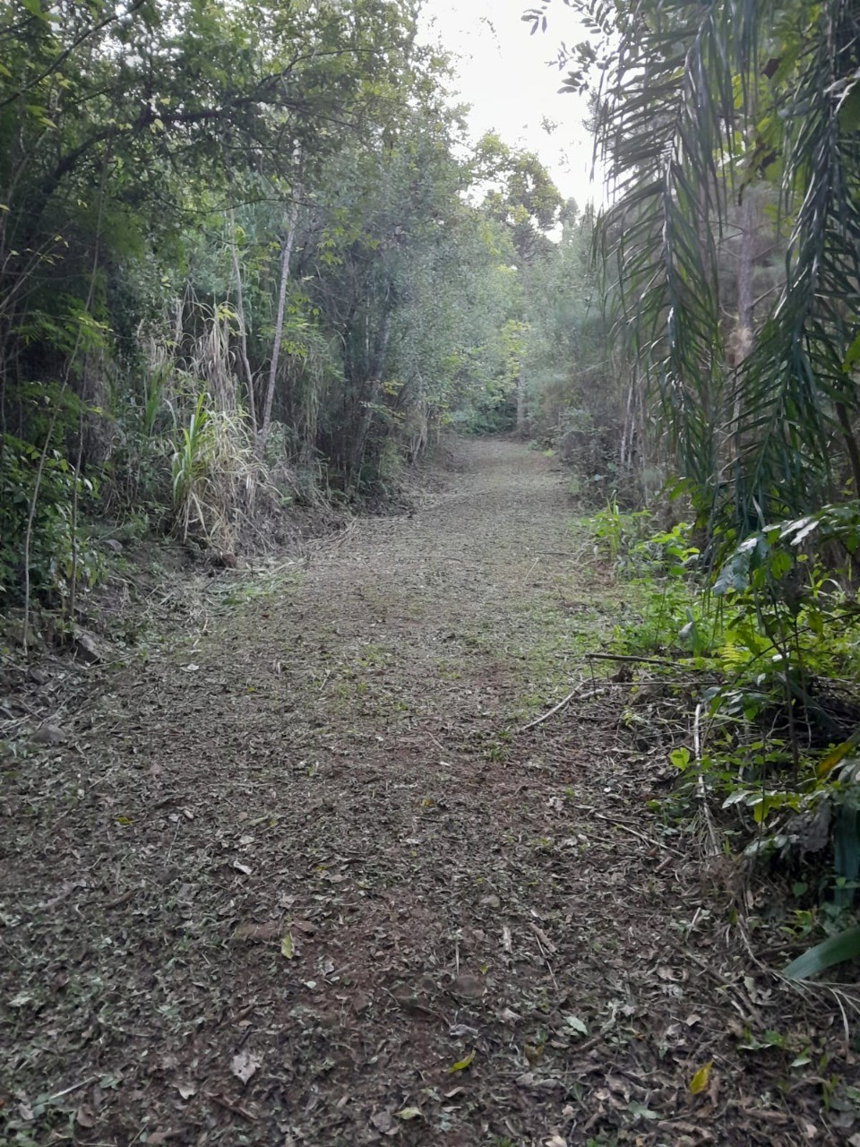 Fazenda - Foto 17