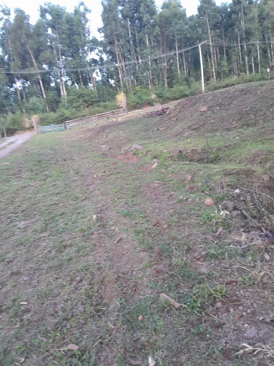 Fazenda - Foto 33