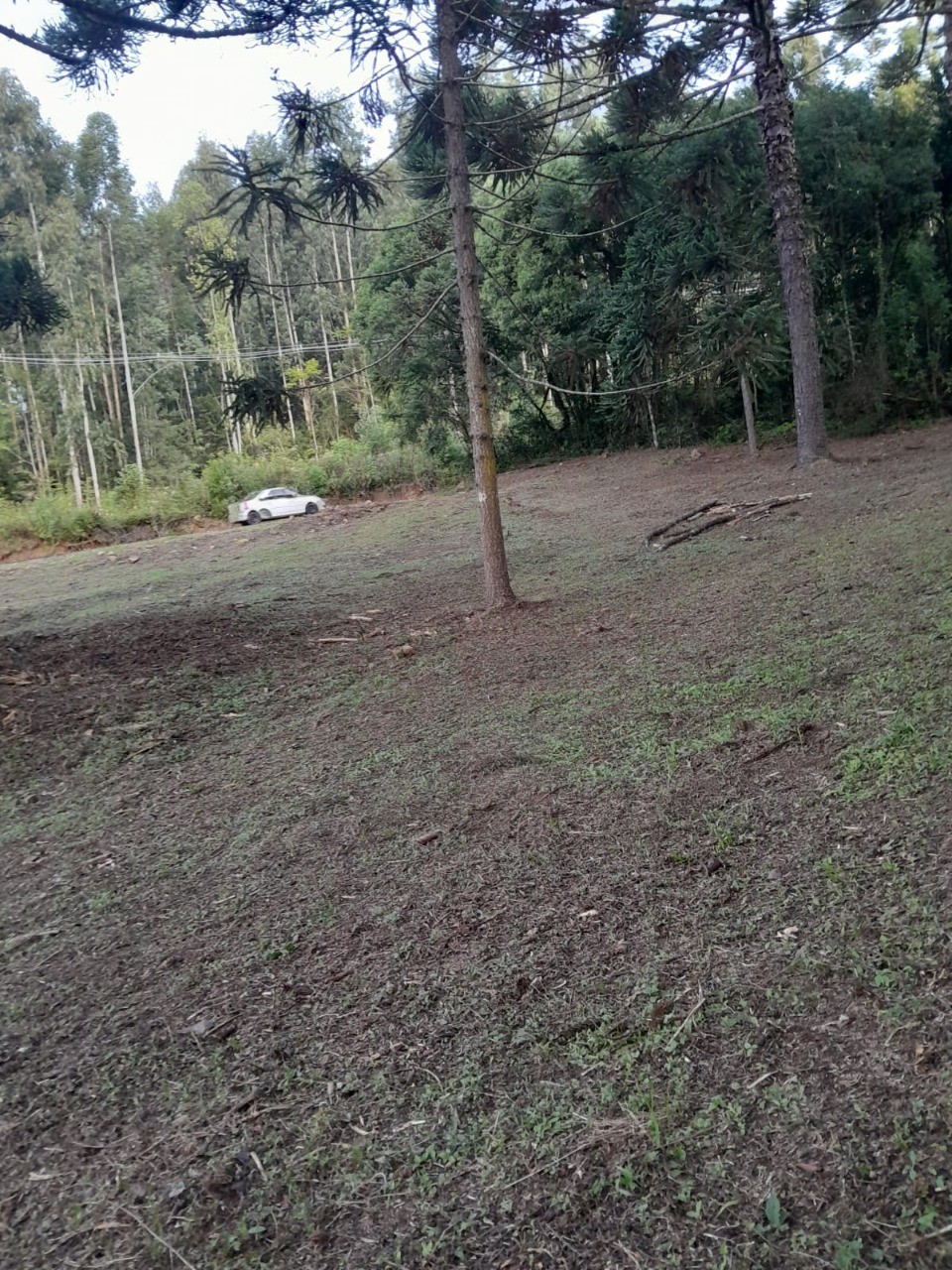 Fazenda - Foto 32