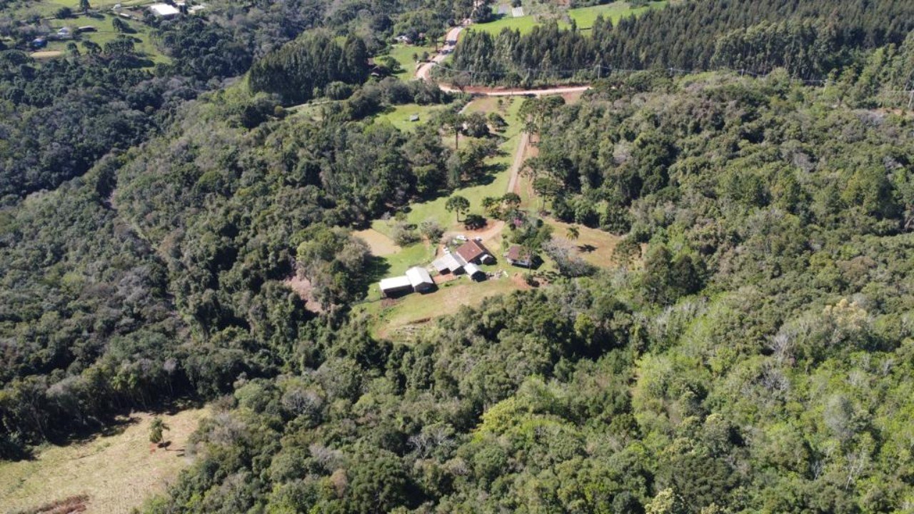 Fazenda - Foto 5