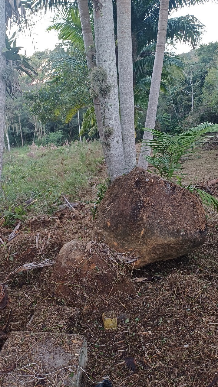 Excelente Terreno Regularizado para Construção e Investimento em Garopaba 1.528 m²