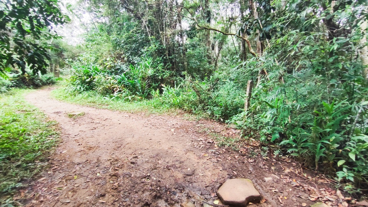 Terreno à venda em Garopaba-SC, bairro Encantada, com 11.995,00 m² de área!