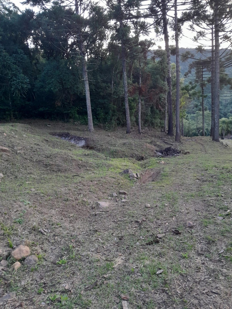 Fazenda - Foto 23
