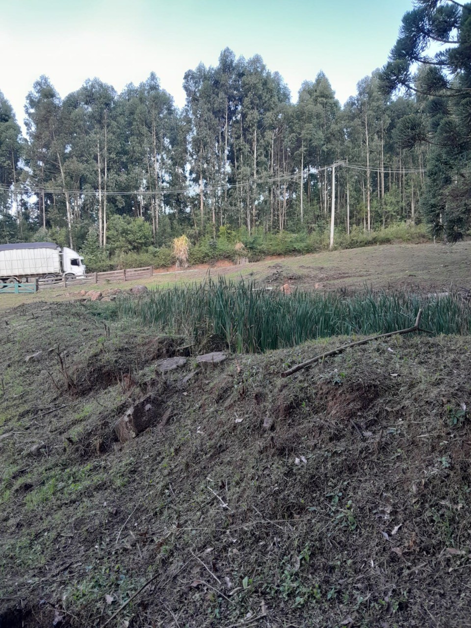 Fazenda - Foto 35