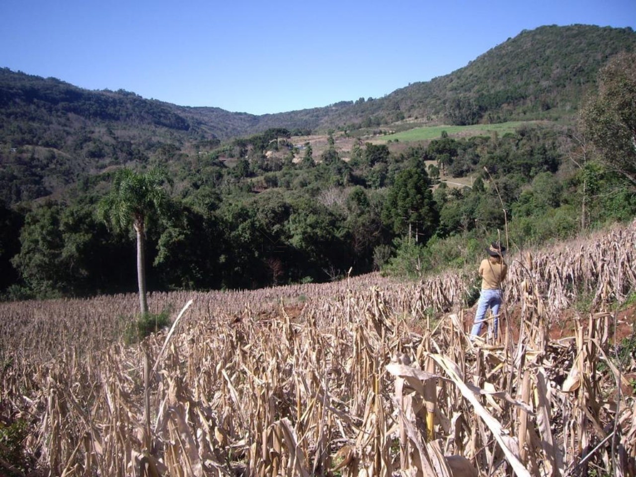 Fazenda - Foto 9
