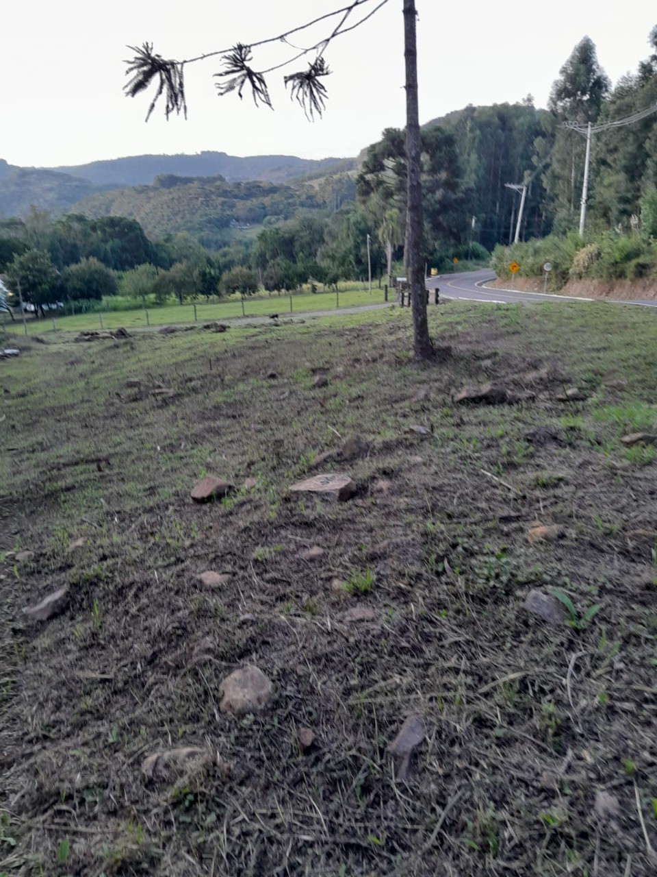 Fazenda - Foto 21