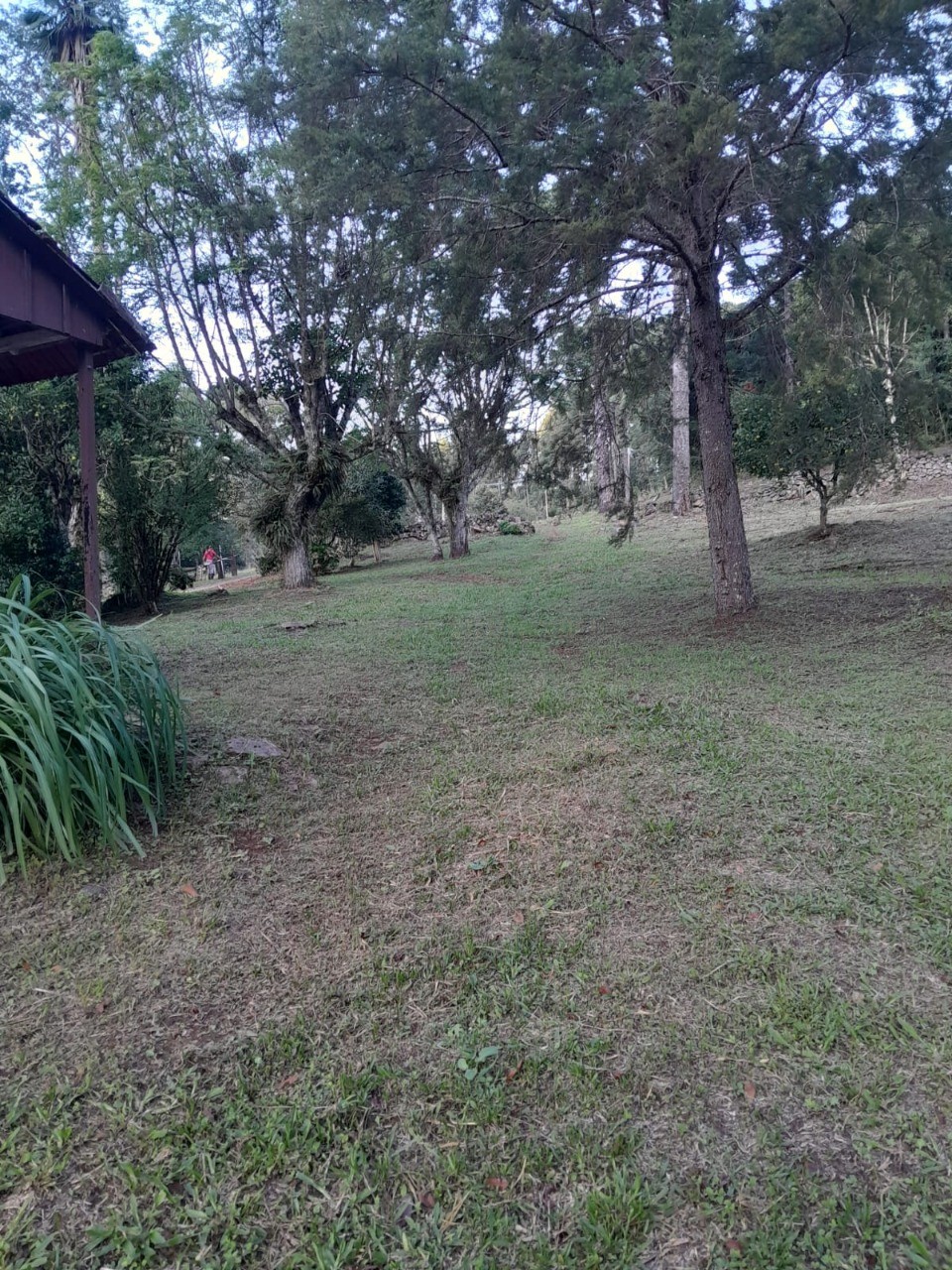 Fazenda - Foto 13
