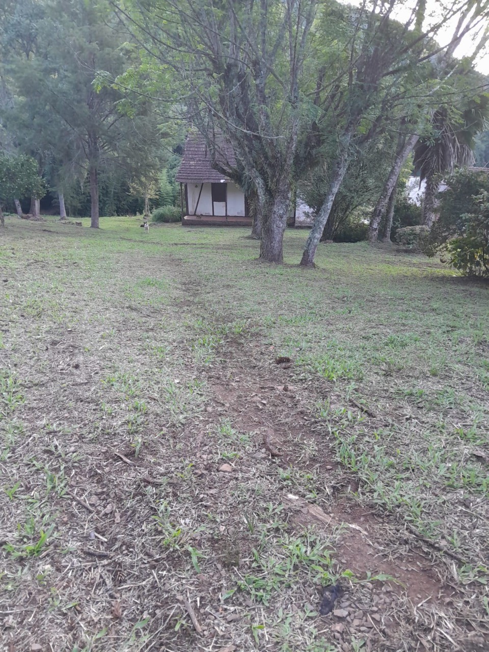 Fazenda - Foto 14
