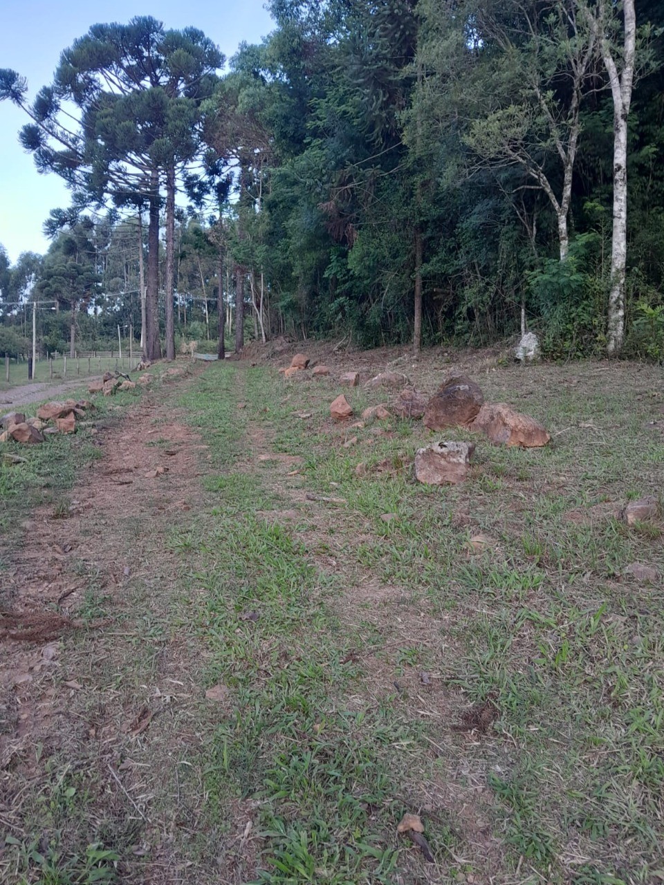 Fazenda - Foto 31