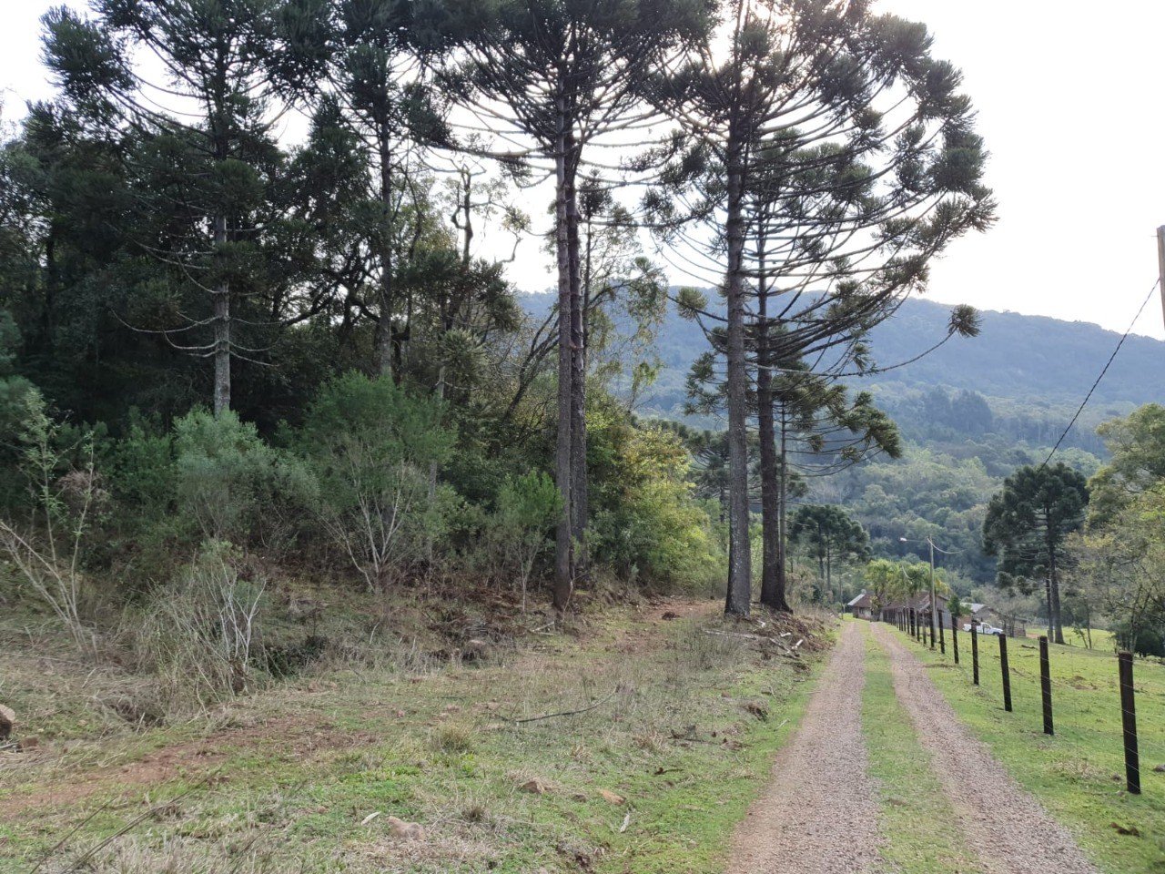 Fazenda - Foto 1