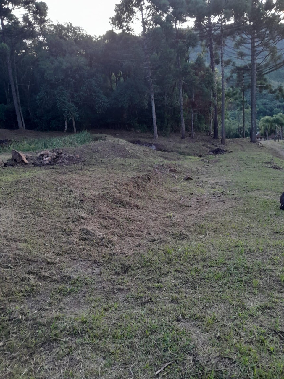 Fazenda - Foto 25