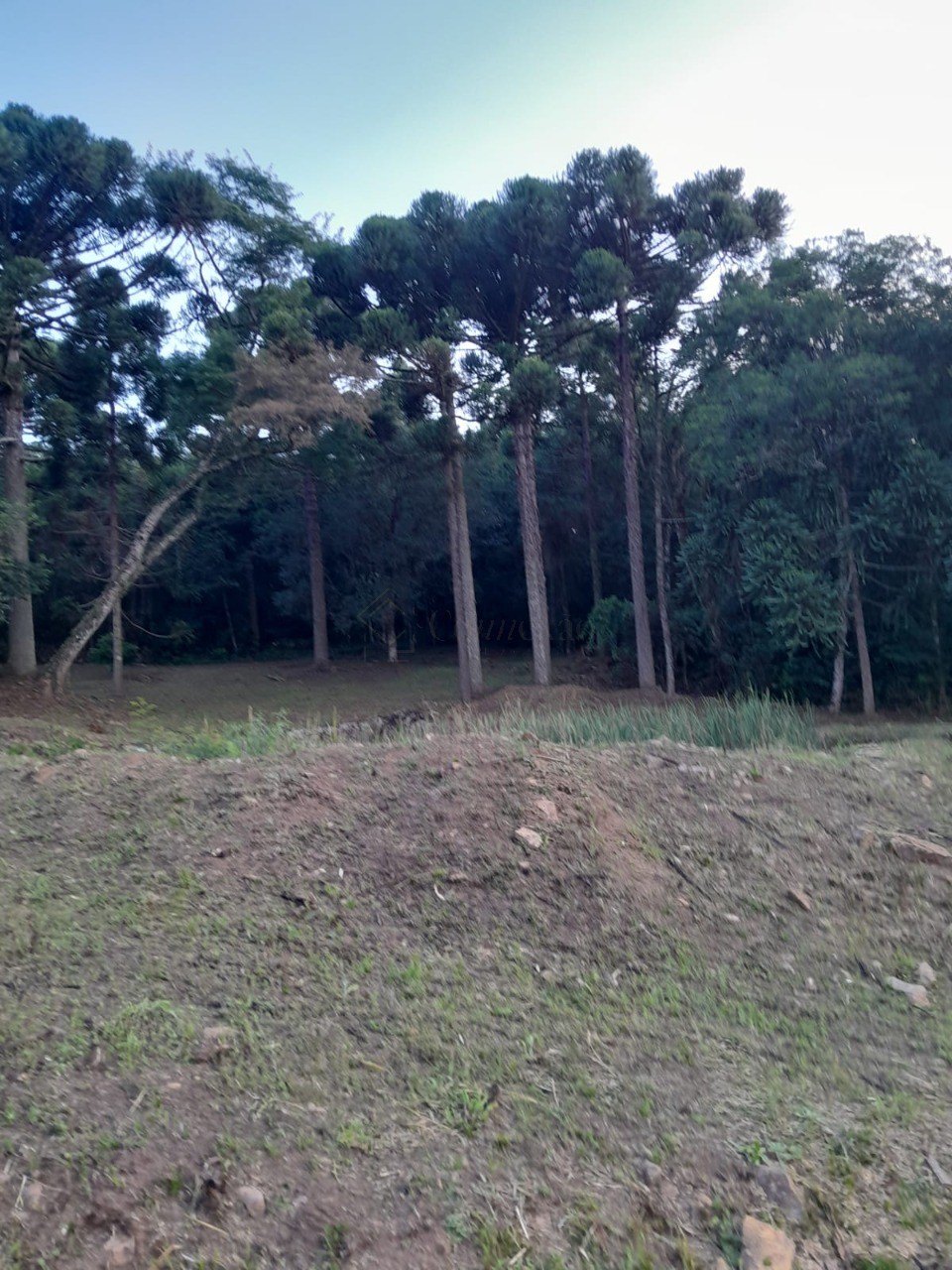 Fazenda - Foto 24
