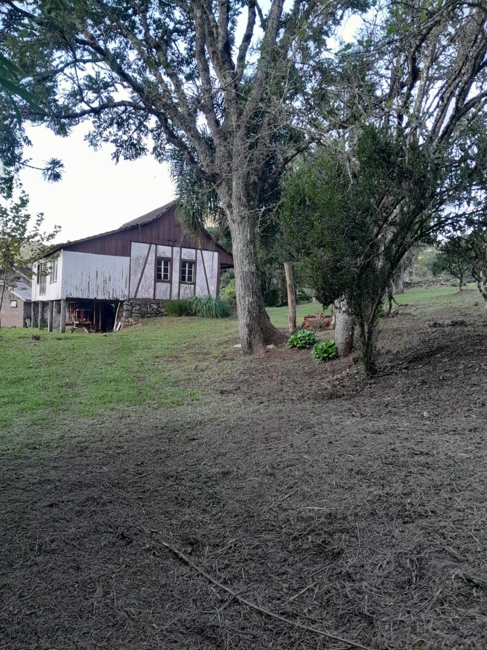 Fazenda - Foto 20
