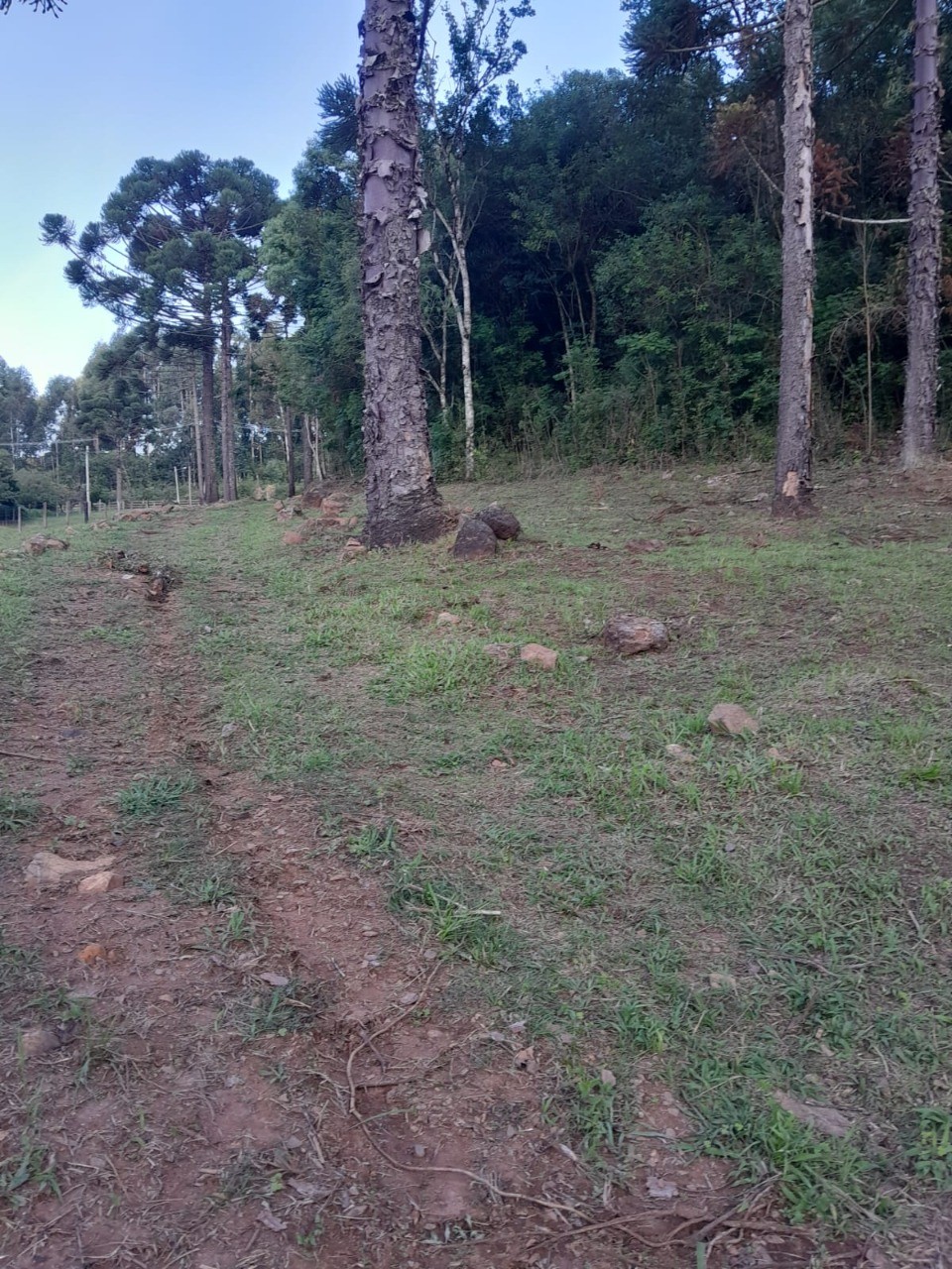 Fazenda - Foto 16