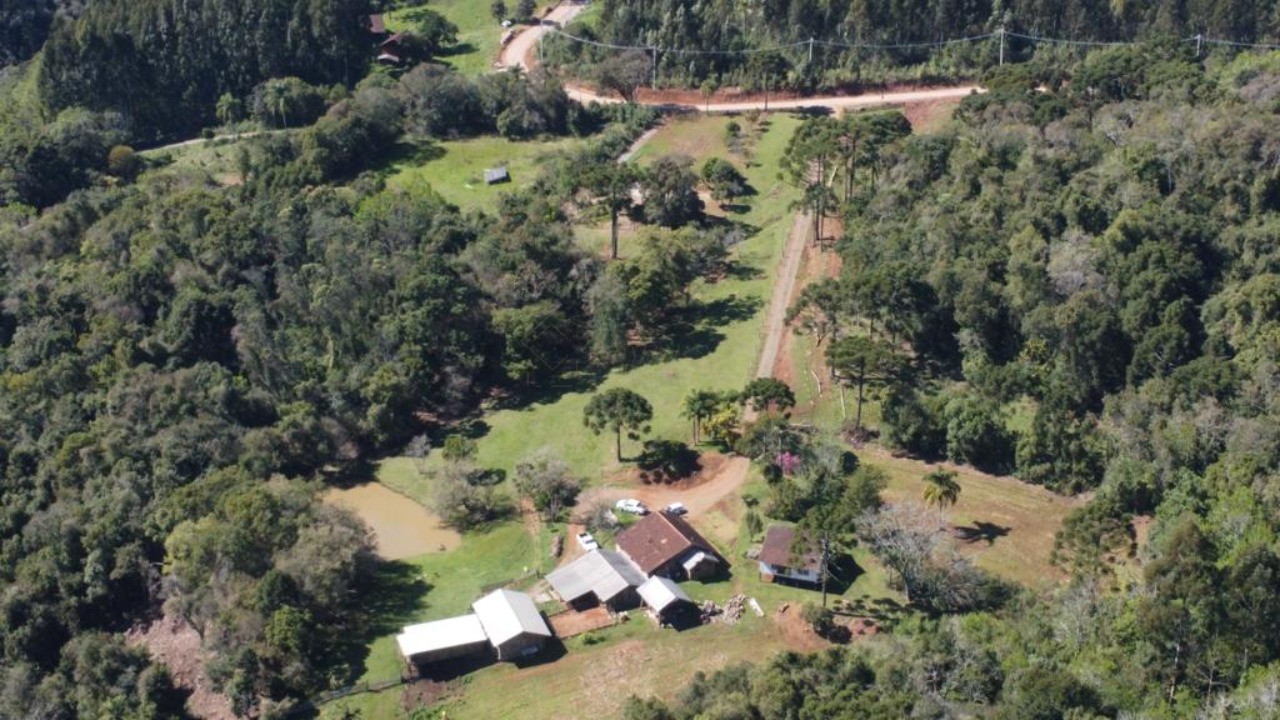 Fazenda - Foto 4