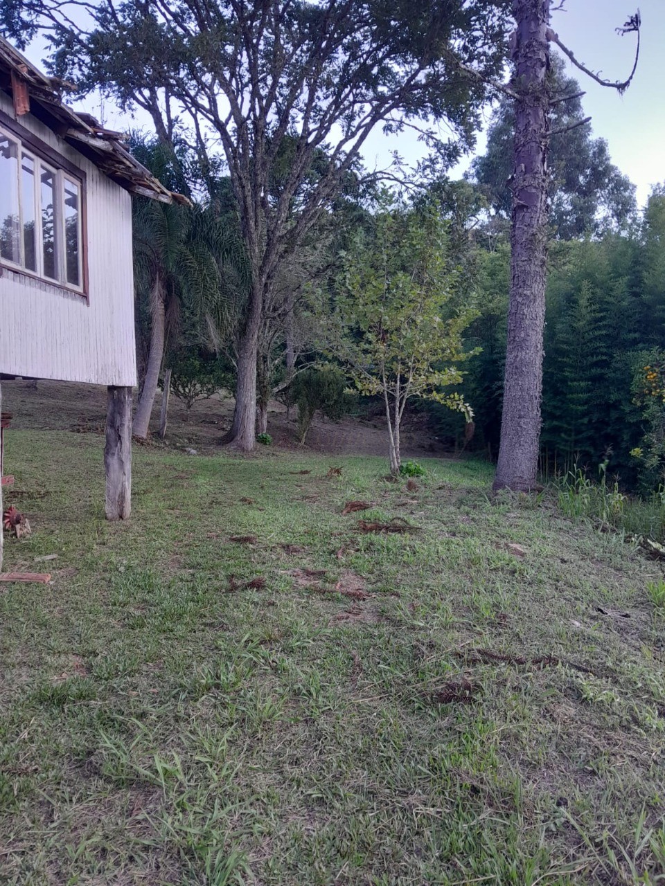 Fazenda - Foto 22
