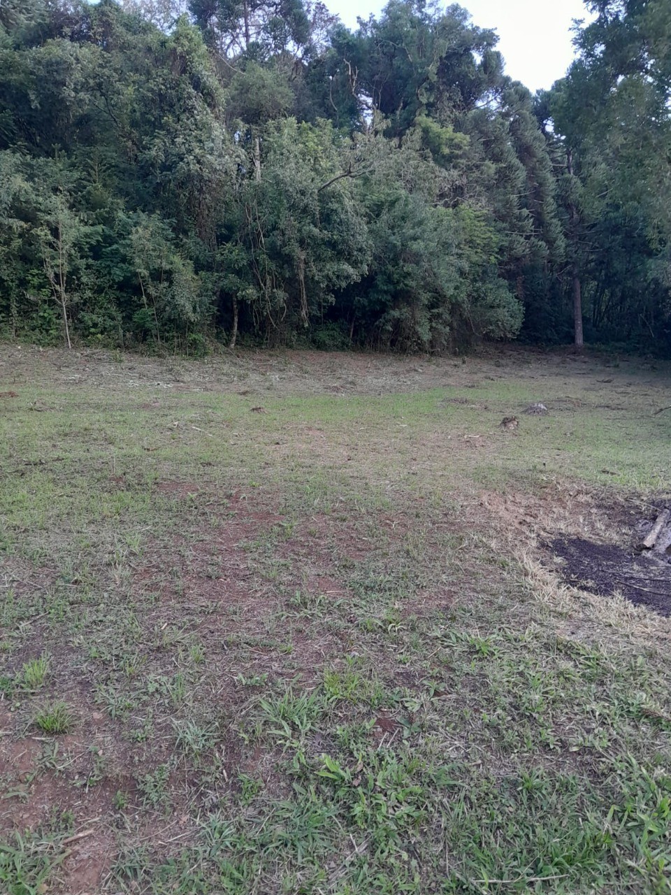 Fazenda - Foto 11