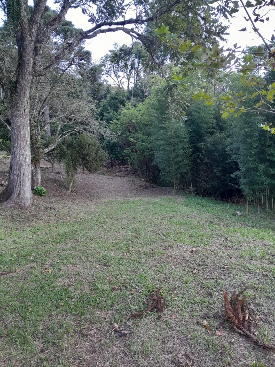 Fazenda - Foto 19