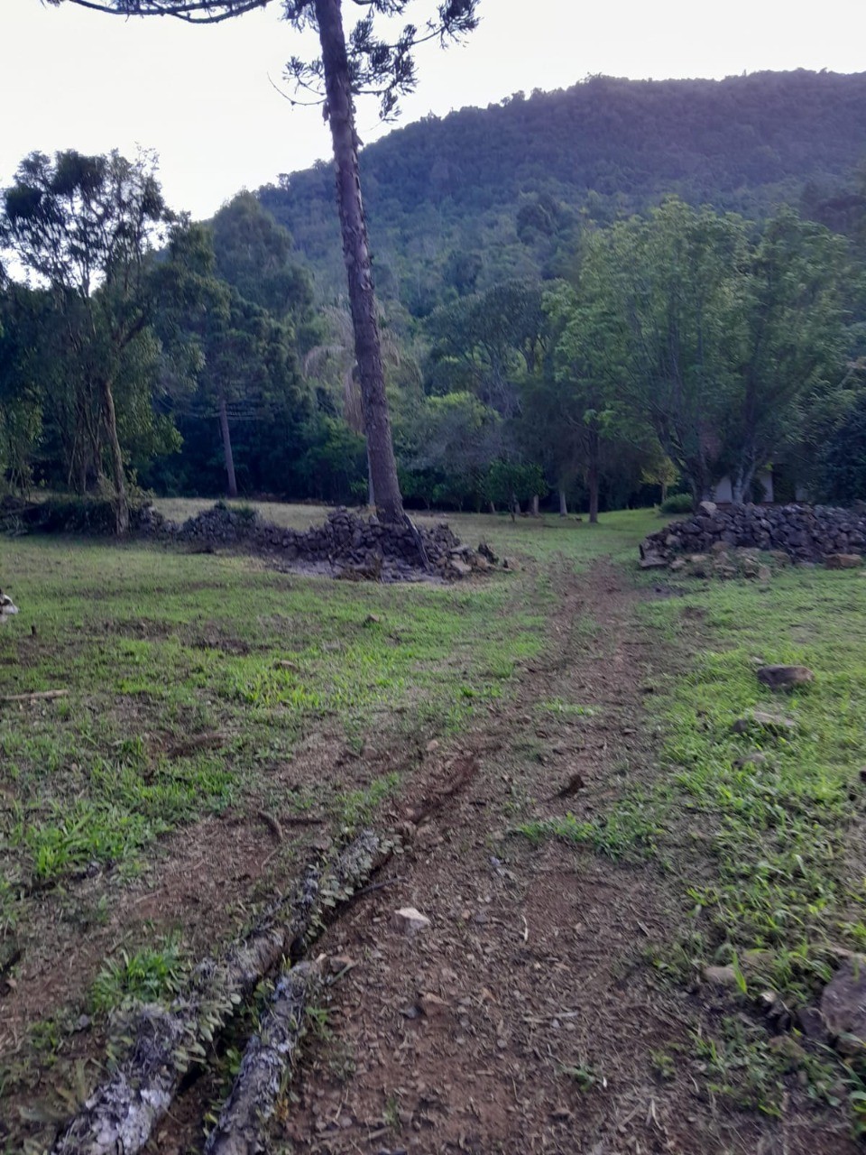 Fazenda - Foto 15