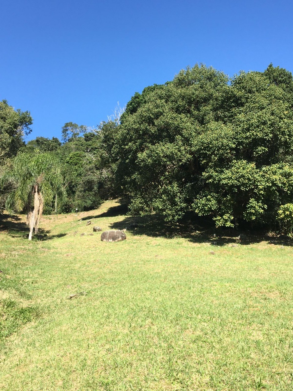 Terreno de 2.076,16 m² em condomínio exclusivo em garopaba-s