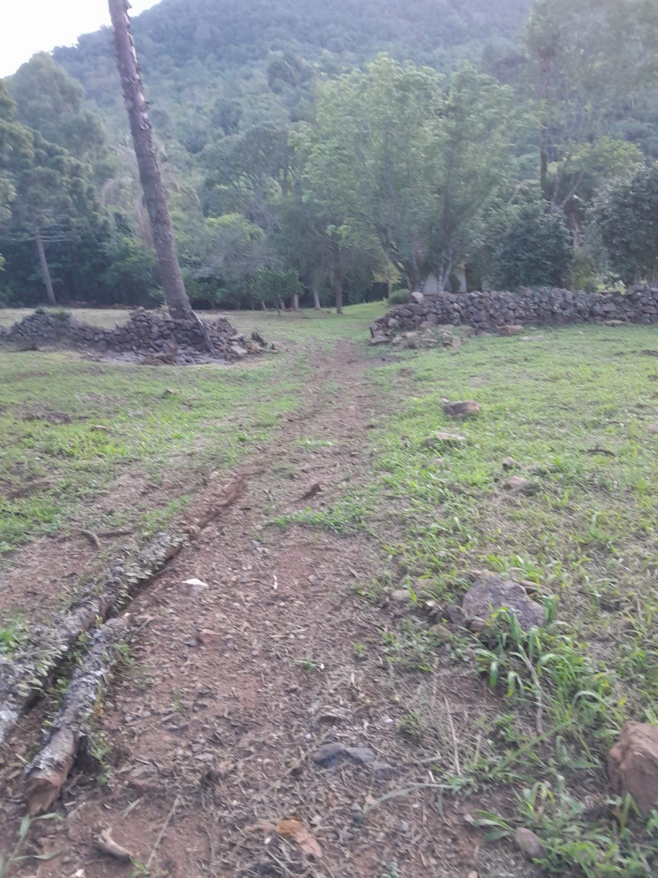 Fazenda - Foto 12