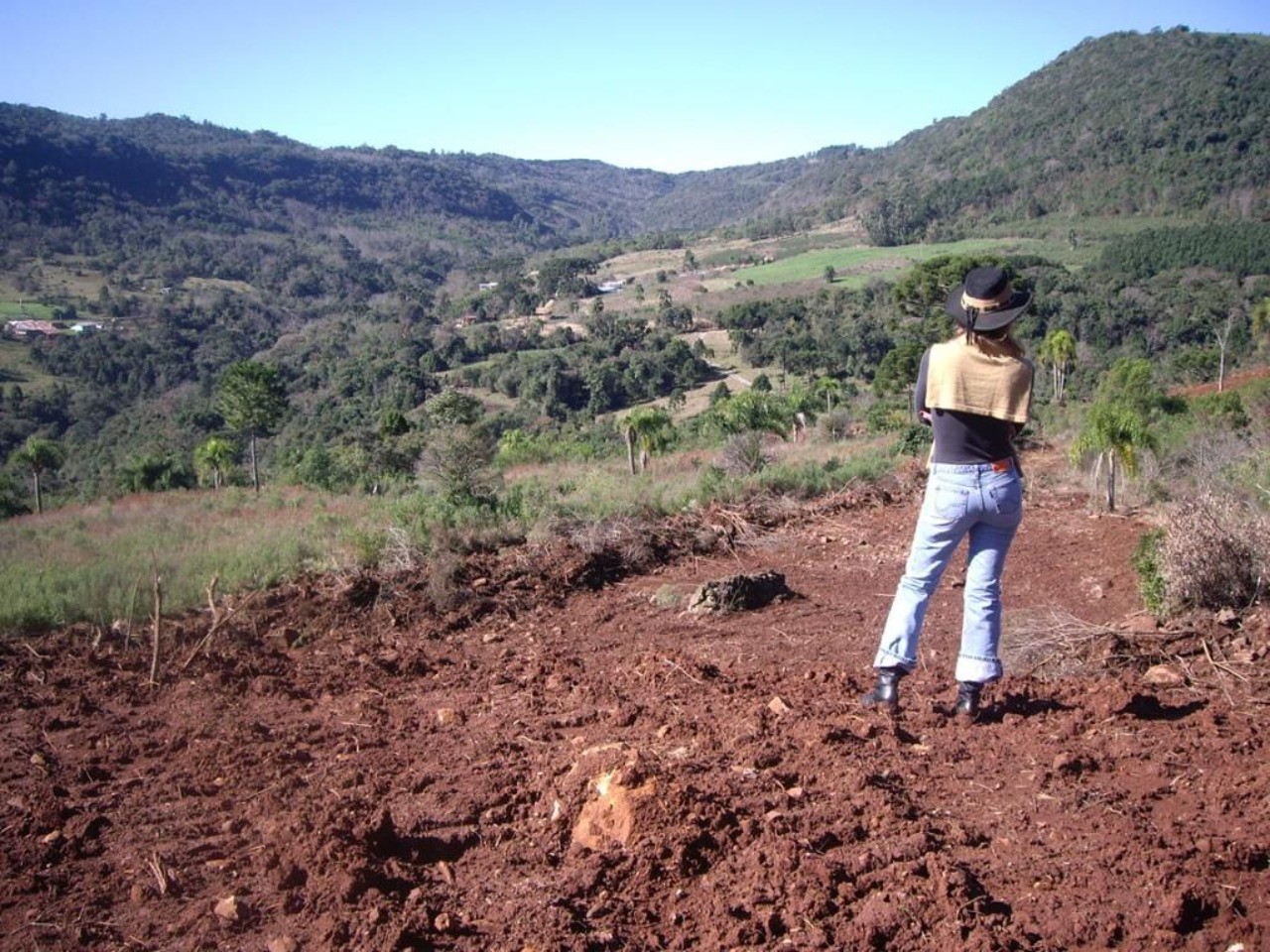 Fazenda - Foto 3