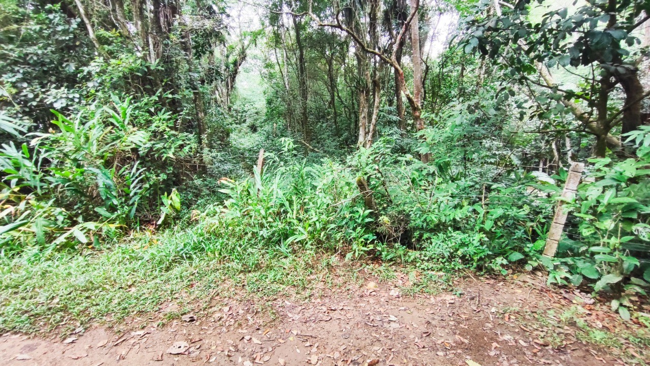 Terreno à venda em Garopaba-SC, bairro Encantada, com 11.995,00 m² de área!