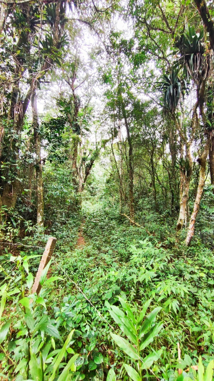 Terreno à venda em Garopaba-SC, bairro Encantada, com 11.995,00 m² de área!