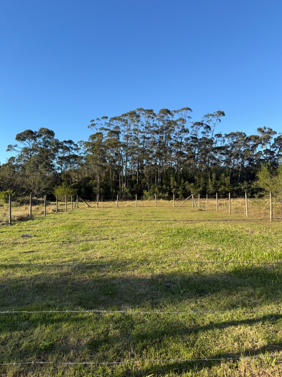 Oportunidade: terreno de 391,50 m² à venda em imbituba, bair