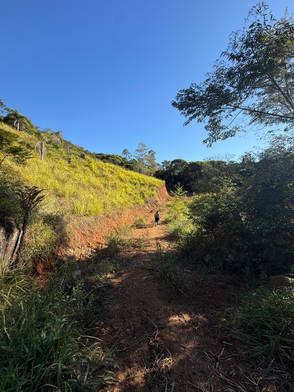 Fazenda - Foto 4