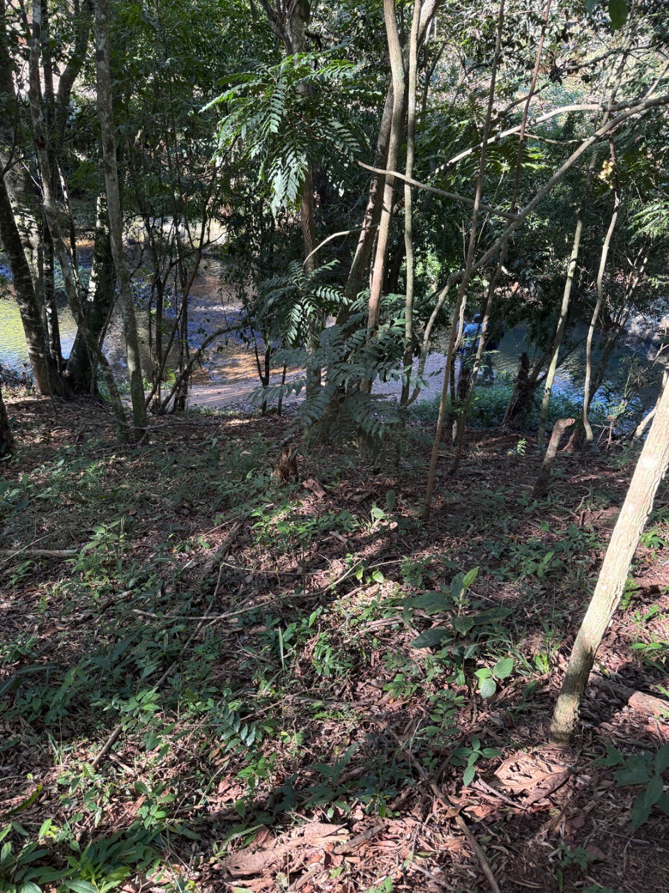 Terreno, 4400 m² - Foto 8