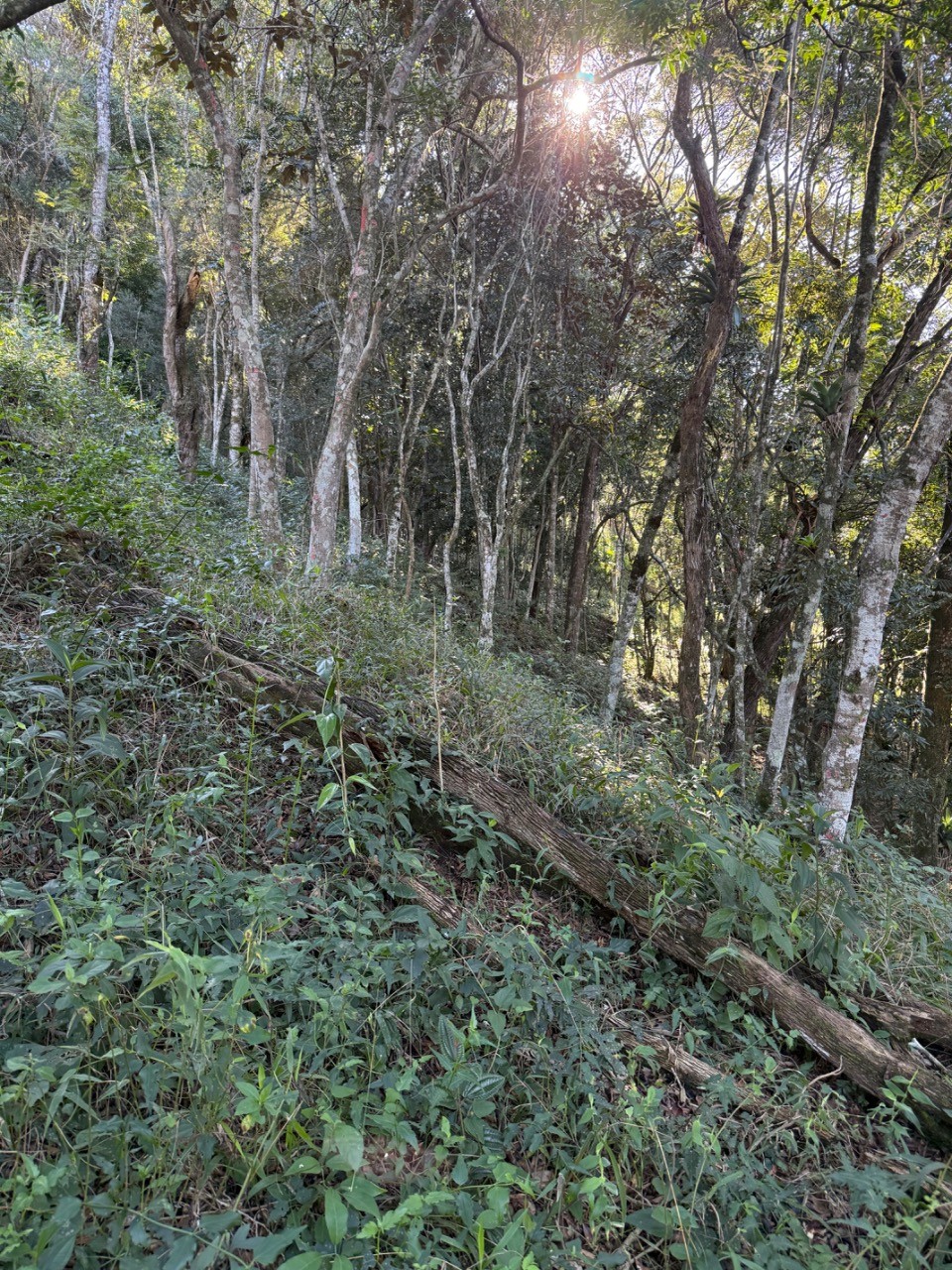 Terreno, 4400 m² - Foto 20