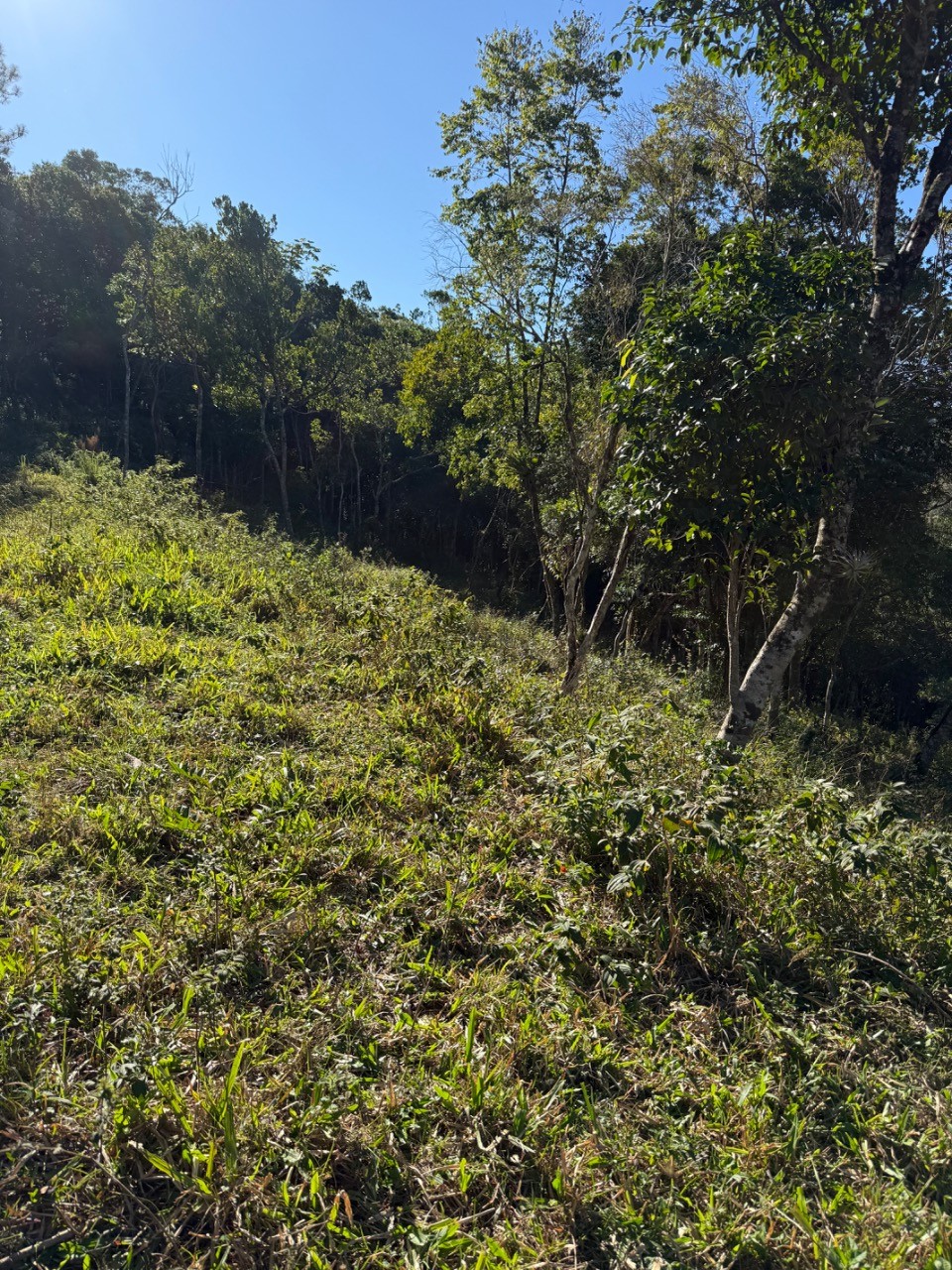 Terreno, 4400 m² - Foto 14