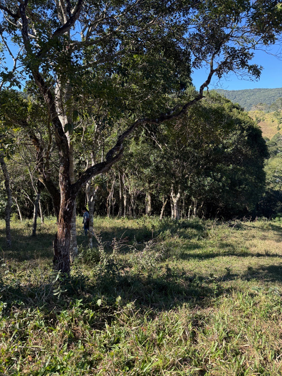 Terreno, 4400 m² - Foto 15