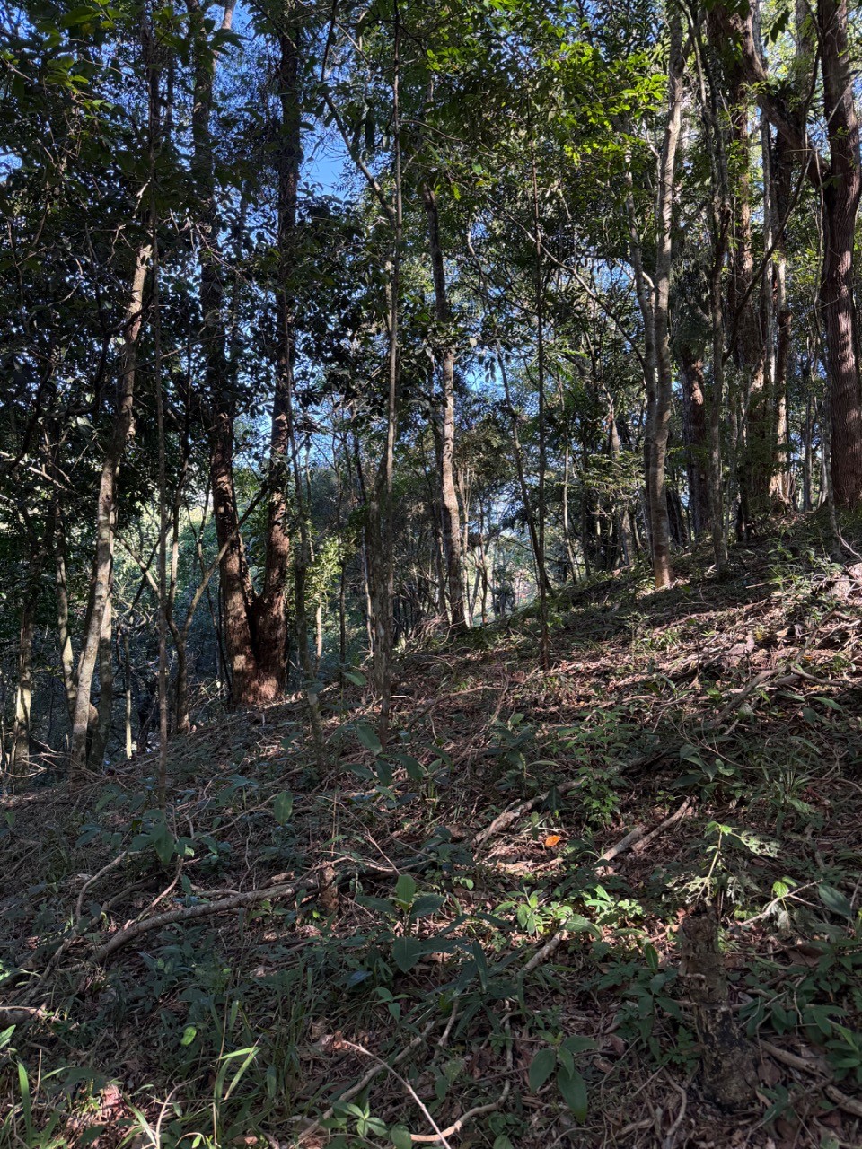 Terreno, 4400 m² - Foto 7